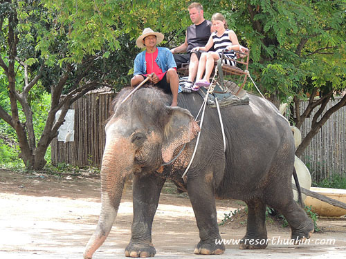 hua hin safari -  elephant  trail trekking
