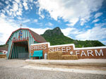 taxi go to swiss sheep farm Cha-am